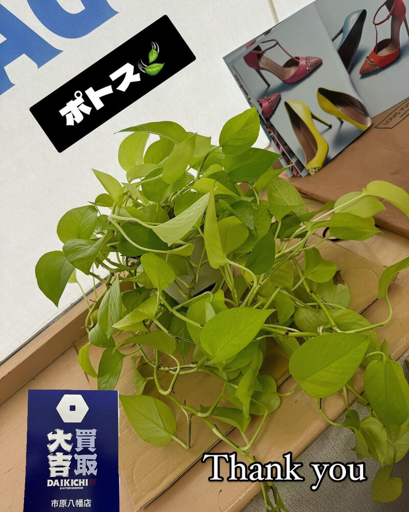 ブログ画像