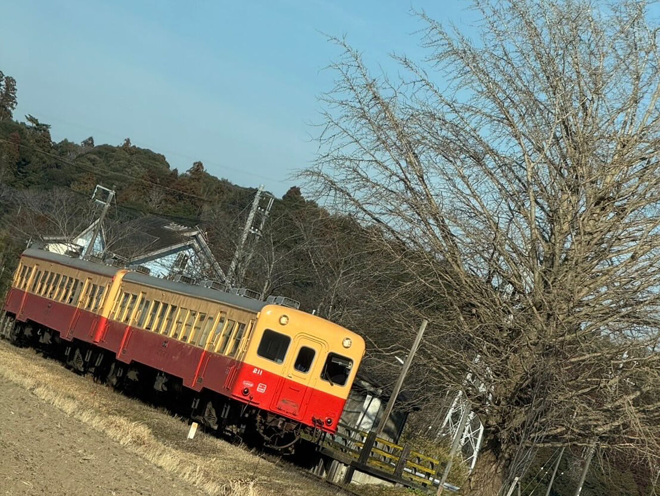 ブログ画像